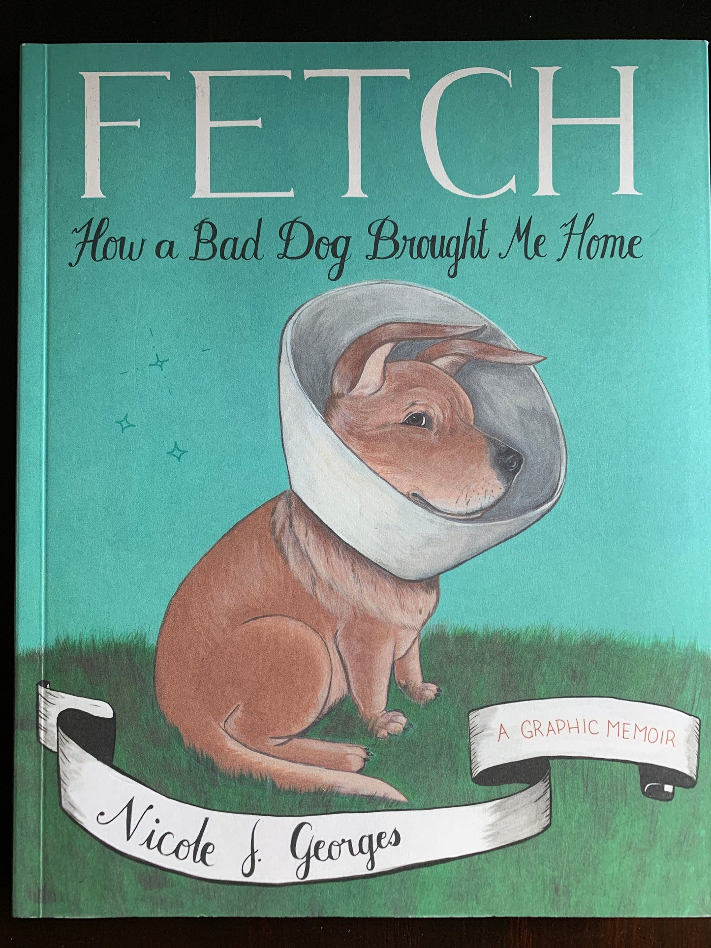 Fetch: How a Bad Dog Brought Me Home