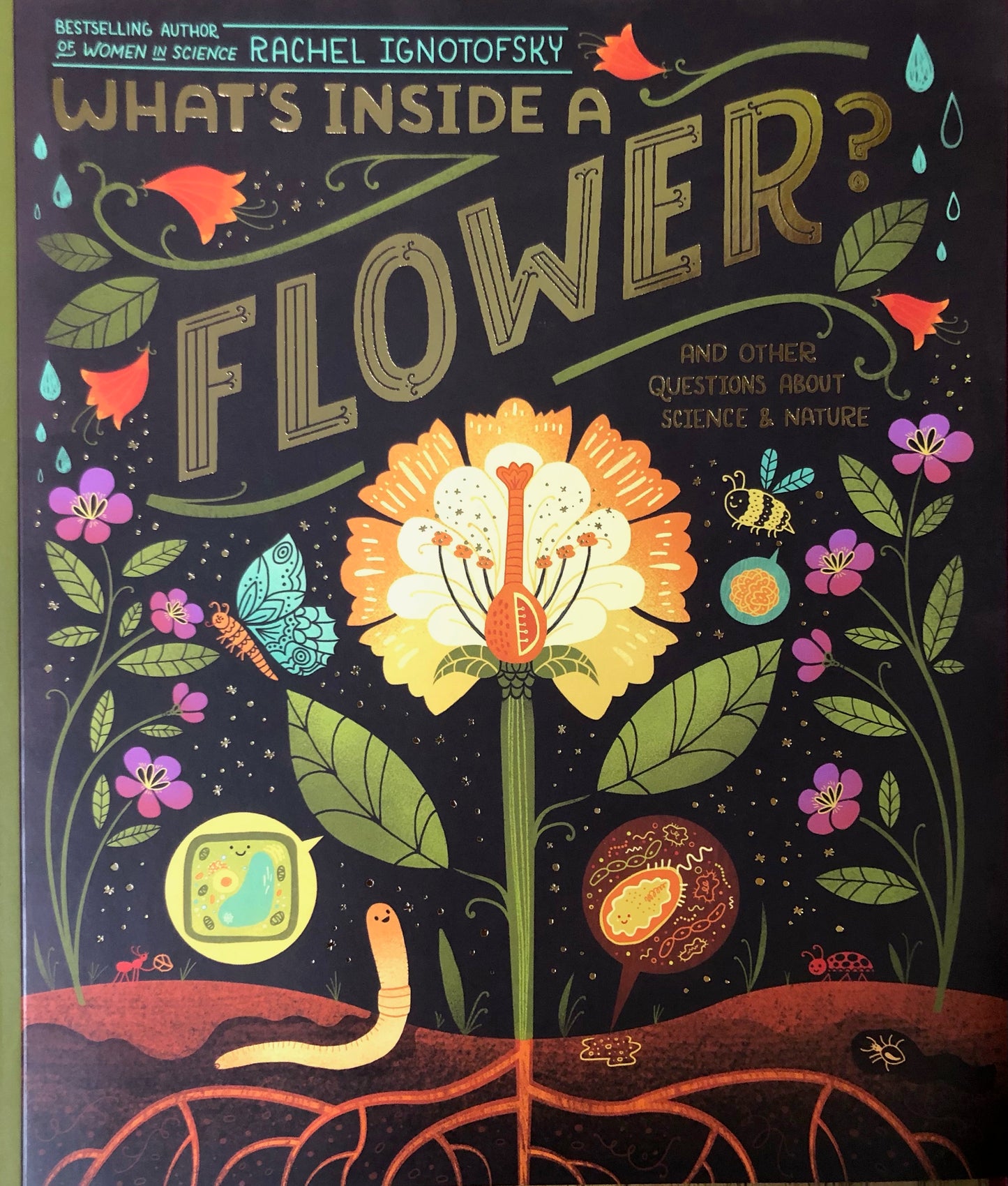 What's Inside a Flower?